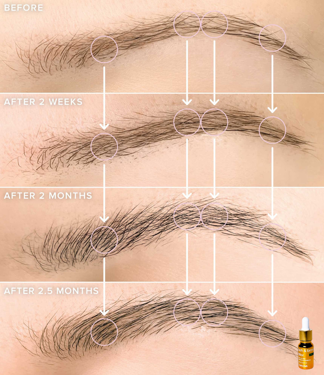 Lash & Brow Filler