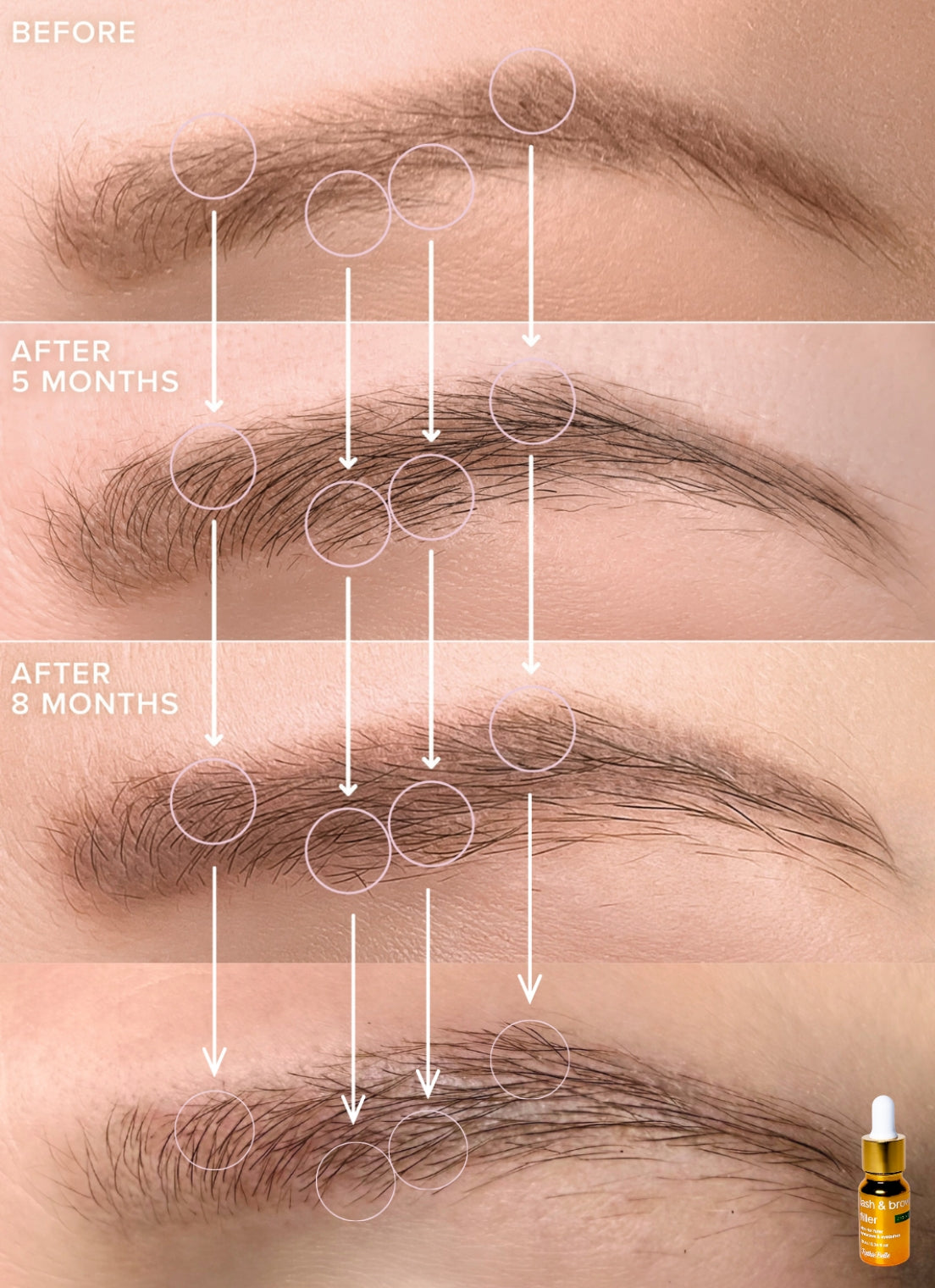 Lash & Brow Filler