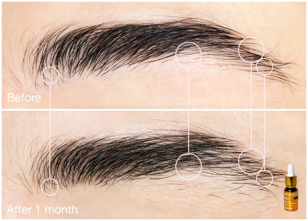 Lash & Brow Filler